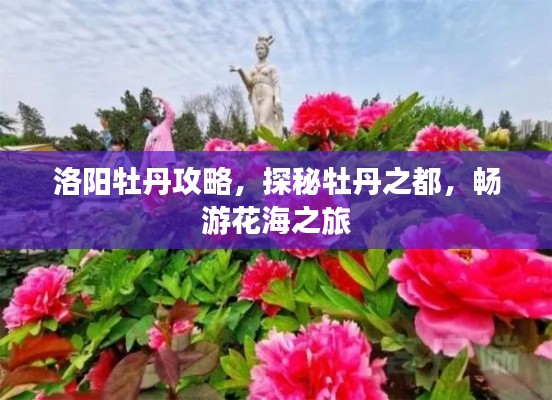 洛阳牡丹攻略，探秘牡丹之都，畅游花海之旅