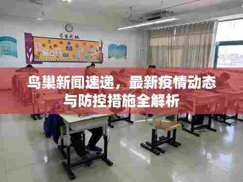 鸟巢新闻速递，最新疫情动态与防控措施全解析