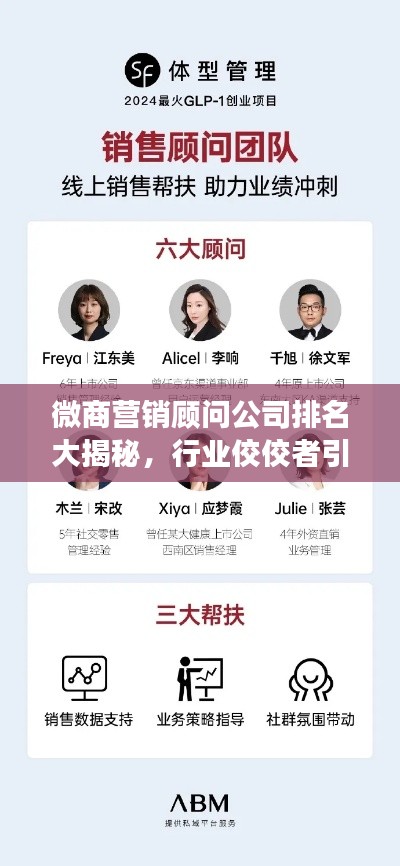 微商营销顾问公司排名大揭秘,行业佼佼者引领发展之路