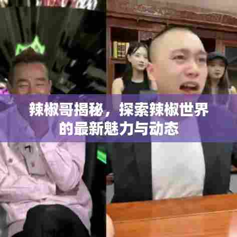 辣椒哥揭秘,探索辣椒世界的最新魅力与动态