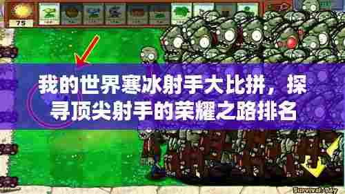 我的世界寒冰射手大比拼,探寻顶尖射手的荣耀之路排名