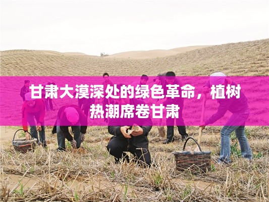 甘肃大漠深处的绿色革命,植树热潮席卷甘肃