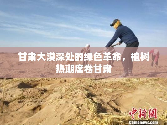 甘肃大漠深处的绿色革命,植树热潮席卷甘肃