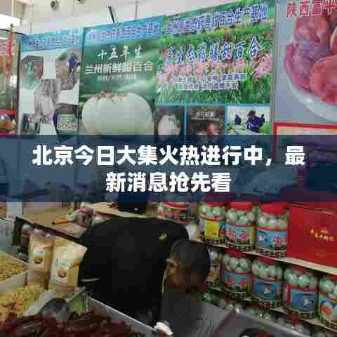 北京今日大集火热进行中，最新消息抢先看