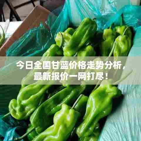 今日全国甘蓝价格走势分析，最新报价一网打尽！