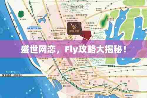 盛世网恋，Fly攻略大揭秘！