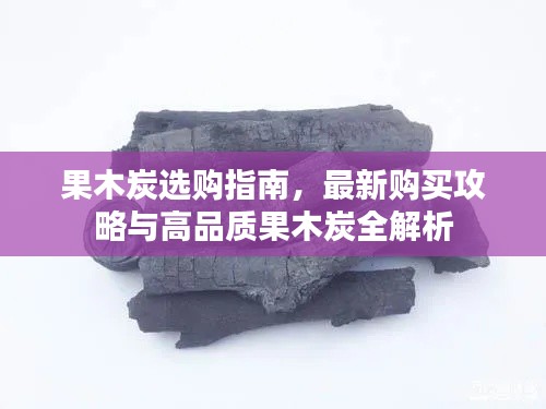 果木炭选购指南,最新购买攻略与高品质果木炭全解析