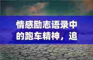鸟穷则啄 第3页