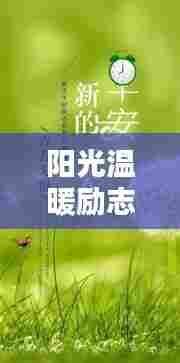阳光温暖励志，善良心灵语录