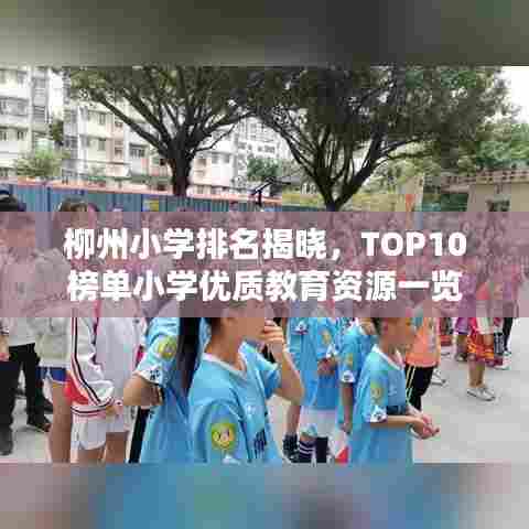 柳州小学排名揭晓，TOP10榜单小学优质教育资源一览