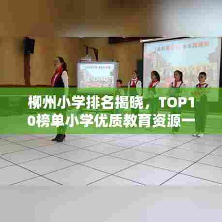 柳州小学排名揭晓,TOP10榜单小学优质教育资源一览