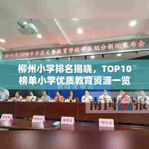 柳州小学排名揭晓,TOP10榜单小学优质教育资源一览