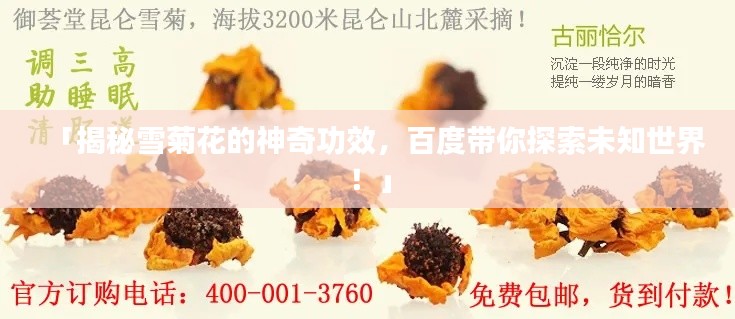 「揭秘雪菊花的神奇功效,百度带你探索未知世界!」