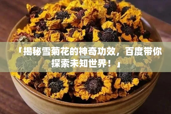 「揭秘雪菊花的神奇功效,百度带你探索未知世界!」