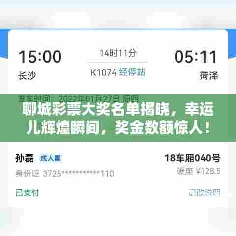 聊城彩票大奖名单揭晓,幸运儿辉煌瞬间,奖金数额惊人!