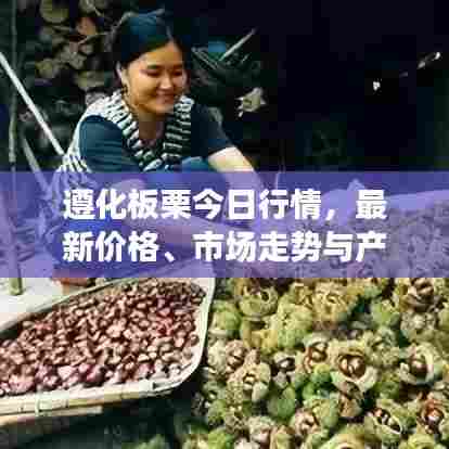 遵化板栗今日行情，最新价格、市场走势与产业深度分析