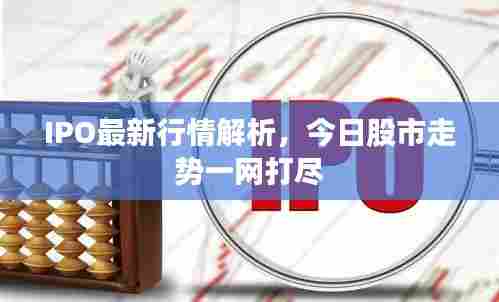 IPO最新行情解析,今日股市走势一网打尽