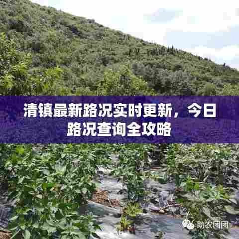清镇最新路况实时更新,今日路况查询全攻略