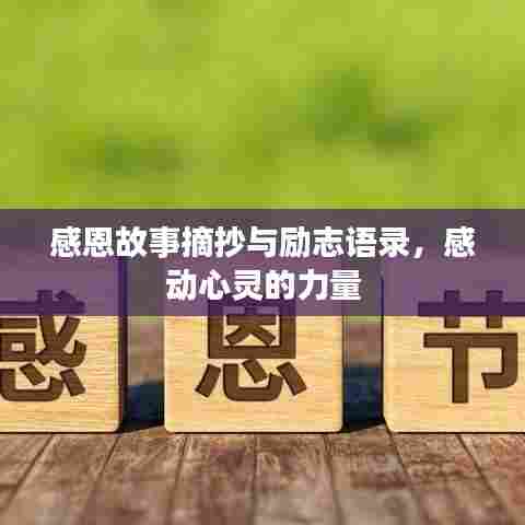 感恩故事摘抄与励志语录,感动心灵的力量
