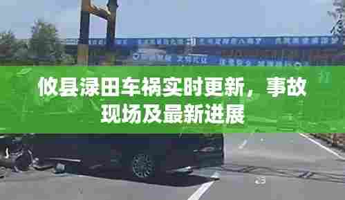 攸县渌田车祸实时更新，事故现场及最新进展