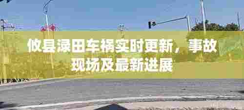 攸县渌田车祸实时更新,事故现场及最新进展