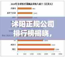 沭阳正规公司排行榜揭晓，行业巨头齐聚，看看你的公司上榜了吗？