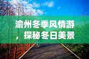 渝州冬季风情游,探秘冬日美景,尽享独特体验