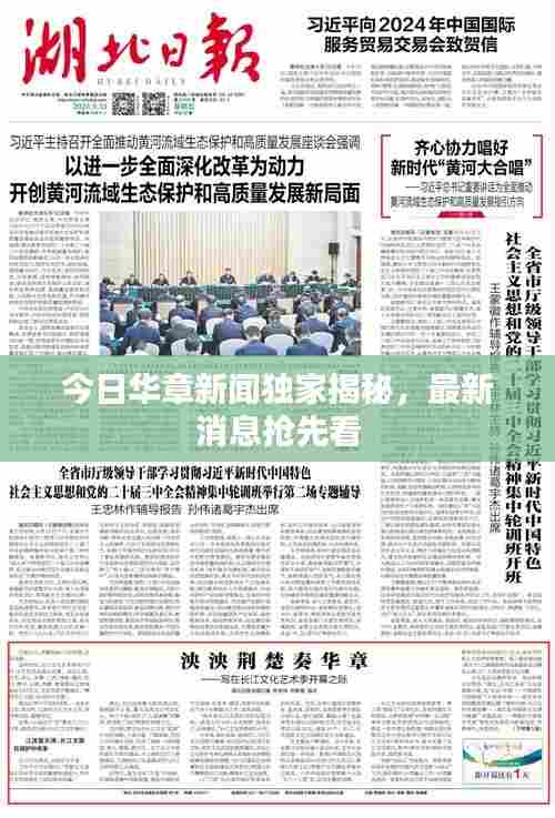 今日华章新闻独家揭秘，最新消息抢先看