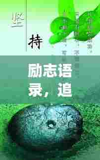 励志语录，追寻梦想的勇气与力量启航新征程！