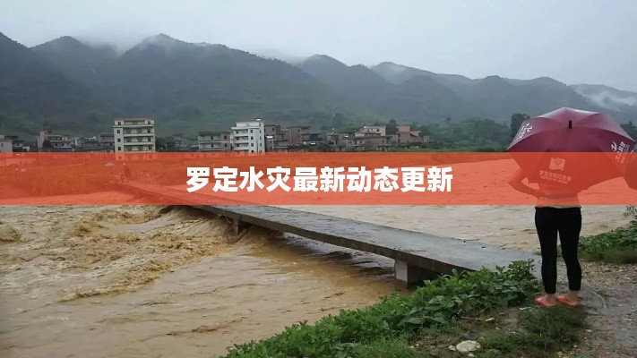罗定水灾最新动态更新