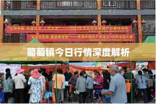 葡萄镇今日行情深度解析