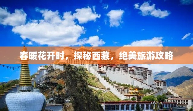 春暖花开时,探秘西藏,绝美旅游攻略