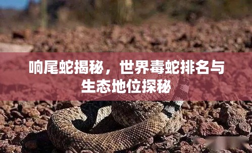 贵而贱目 第4页