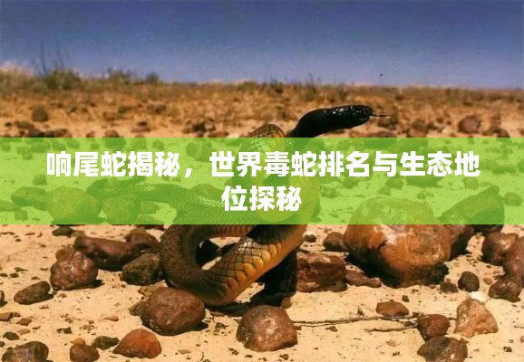 响尾蛇揭秘,世界毒蛇排名与生态地位探秘