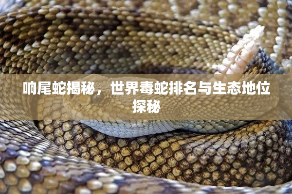 响尾蛇揭秘,世界毒蛇排名与生态地位探秘