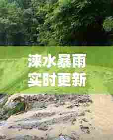 涞水暴雨实时更新,暴雨最新消息视频曝光