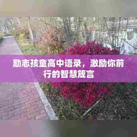 励志孩童高中语录，激励你前行的智慧箴言