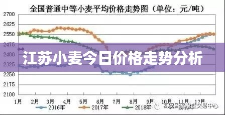 江苏小麦今日价格走势分析