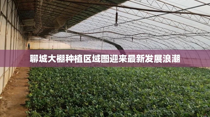 聊城大棚种植区域图迎来最新发展浪潮