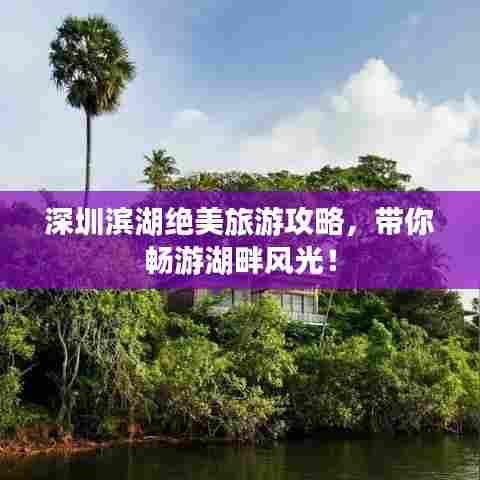 深圳滨湖绝美旅游攻略,带你畅游湖畔风光!