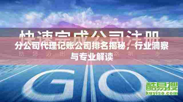 分公司代理记账公司排名揭秘,行业洞察与专业解读