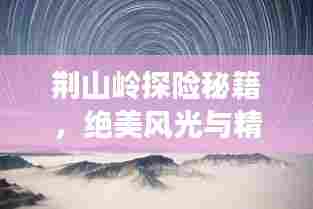 荆山岭探险秘籍,绝美风光与精彩玩法一网打尽!