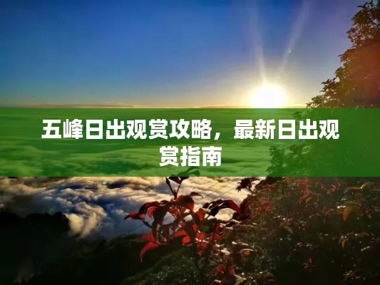 五峰日出观赏攻略,最新日出观赏指南
