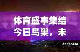 体育盛事集结今日鸟巢,未来展望令人瞩目!