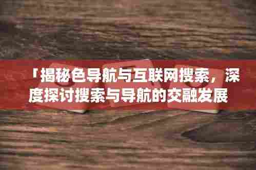 「揭秘色导航与互联网搜索，深度探讨搜索与导航的交融发展」