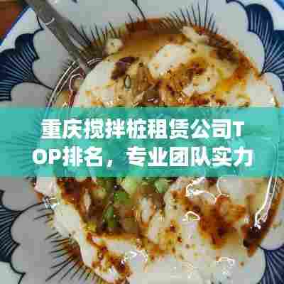 重庆搅拌桩租赁公司TOP排名,专业团队实力比拼!