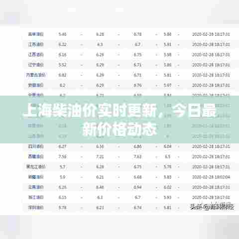 上海柴油价实时更新，今日最新价格动态