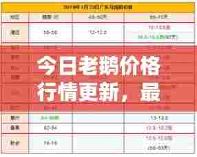 今日老鹅价格行情更新,最新消息一览