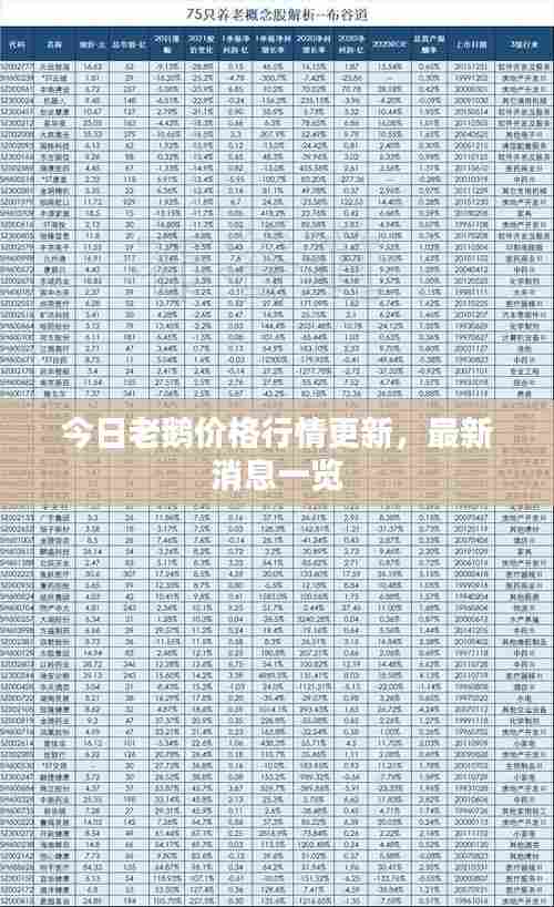 今日老鹅价格行情更新,最新消息一览