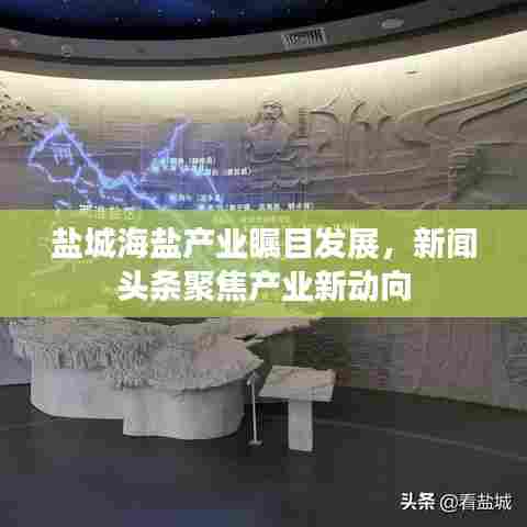 盐城海盐产业瞩目发展,新闻头条聚焦产业新动向